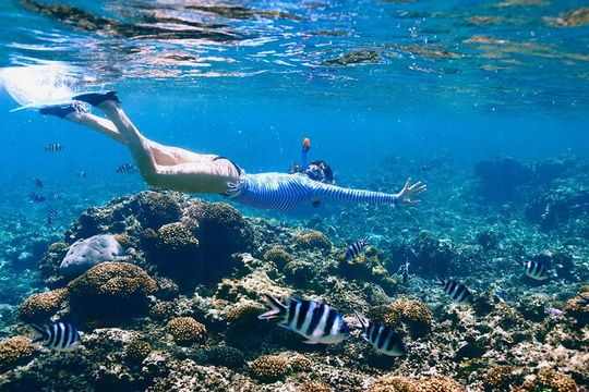 Reef Snorkeling with ATV, Zipline, Cenote that includes lunch and transportation