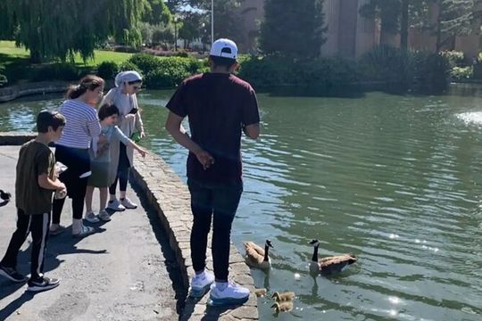 Billionaire Row and Palace of Fine Art Walking Tour