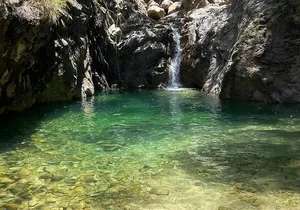Palo María Waterfalls Hike Half-Day Tour