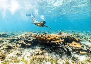 Parasailingcancun and Jet Ski tour over Cancun Bay