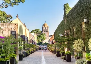 Full-Day Tequila, Jalisco from Puerto Vallarta with Tequila Experience
