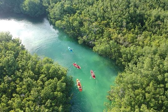 Kayak adventure through Laguna Nichupté in Cancun