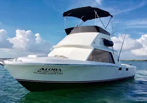 Private fishing charter Bertram 31ft 6 pax max if you don't fish you don't pay