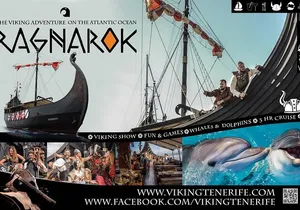 2h Viking Cruise Whales & Dolphins Watching