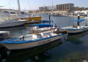 Private Half-Day Sport Fishing in Los Cabos
