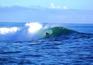 "The Dole Plantation" & "North Shore" Private Limousine VIP Tour!