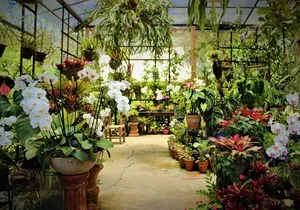 Vallarta Botanical Garden and Tequila Tasting from Puerto Vallarta