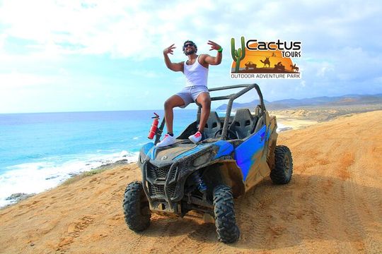 Beach & Desert UTV Tour in Cabo