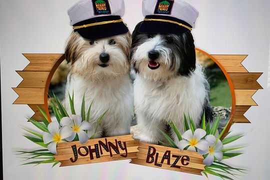 Cruisin Tikis Key Largo - Tiki Fun Cruise (Private)