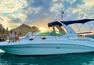 Los Cabos Private Yacht Whale Watching & Drinks — Up to 18 Guests