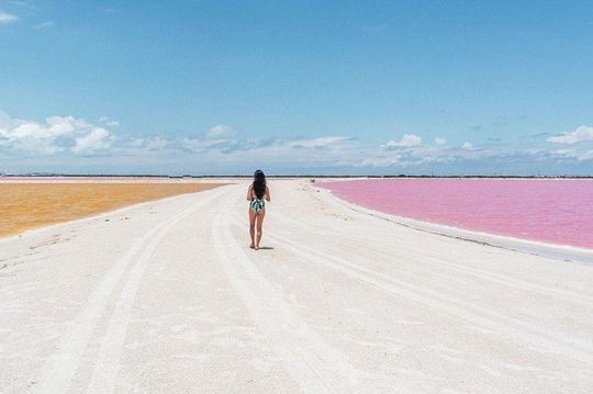 Discover the FABULOUS PINK WATERS at the Caribean (Las Coloradas+Río Lagartos)