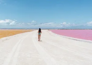 Discover the FABULOUS PINK WATERS at the Caribean (Las Coloradas+Río Lagartos)