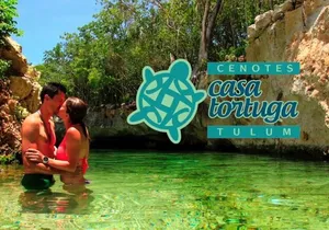 Tour 4 Cenotes Casa Tortuga Tulum. Food + Zipline. Includes Pickup.