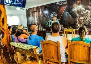 Cabo San Lucas Tequila Tasting Experience