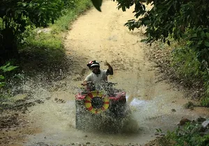 Quads ATV Off Road Jungle Adventure