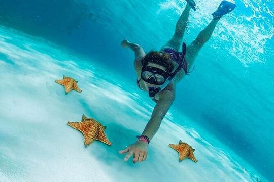 Cielito Cozumel: Mexican Caribbean Snorkeling Tour