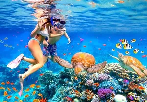 Waikiki Catamaran Escape: Snorkel with Turtles & Water Sports Fun