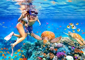 Waikiki Catamaran Escape: Snorkel with Turtles & Water Sports Fun