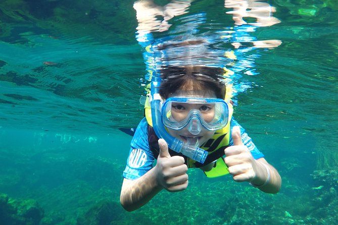VIP Cenotes Private Tour