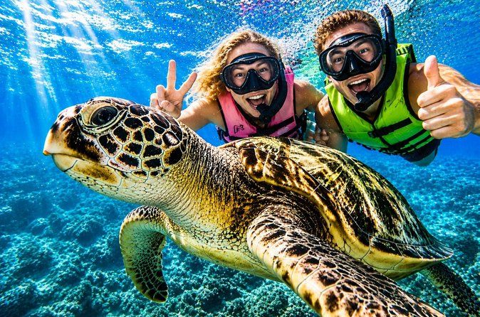 Waikiki Turtle Snorkeling Tour with Free Pickup