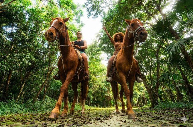 Extreme Horses Adventure with ATV, Ziplines & Cenote
