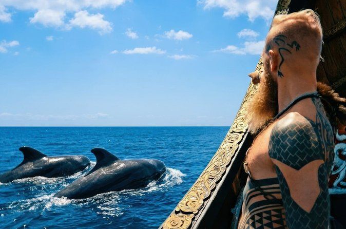 Tenerife Whale and Dolphin Watching + SWIM STOP