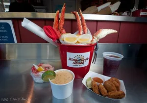 Ultimate Whale Watch and Tracy's Crab Shack Combo