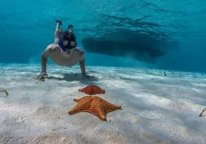 Snorkeling adventure through 'El Cielo' Cozumel. Included Food & Transportation