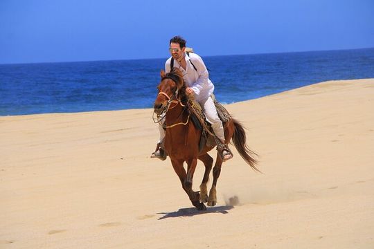Cabo White Sand Horseback Riding Tour and Tequila Tasting