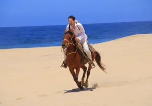 Cabo White Sand Horseback Riding Tour and Tequila Tasting