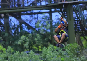 ATV adventure, Ziplines, Cenote Swim, Snack & Transport Included.