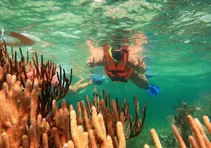 ATV Adventure Combo with Snorkeling, Ziplines, Cenote, and Lunch