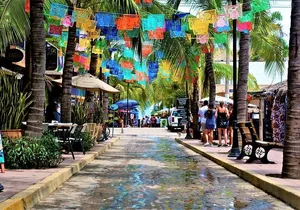 Sayulita Beach Day Trip from Puerto Vallarta