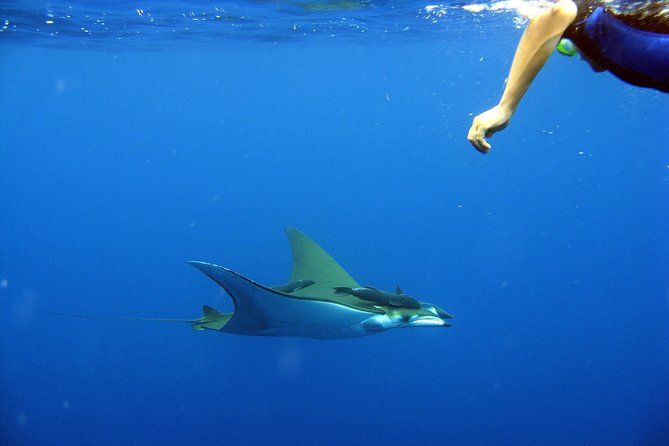 Cabo San Lucas Short Snorkeling Tour with Divemaster Guide