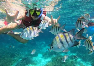 3 Hours VIP Semiprivate Tour Isla Mujeres Full Snorkeling Experience