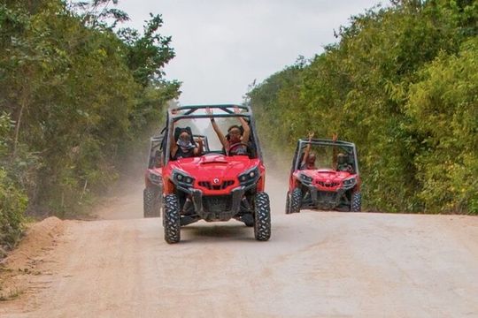 Jungle Buggy Tour from Playa del Carmen Including Cenote Swim