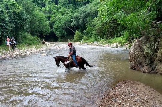 Experience Horse Riding, ATV & Zipline from Puerto Vallarta