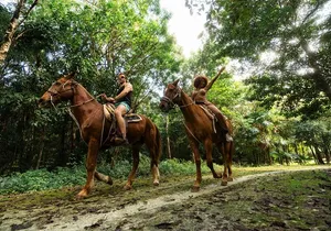 Extreme Horses Adventure with ATV, Ziplines & Cenote