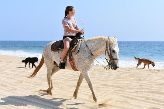 Cabo Desert Off-Road & Beach Horseback Combo and Tequila Tasting