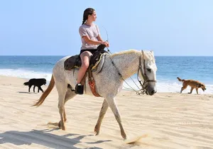 Cabo Desert Off-Road & Beach Horseback Combo and Tequila Tasting