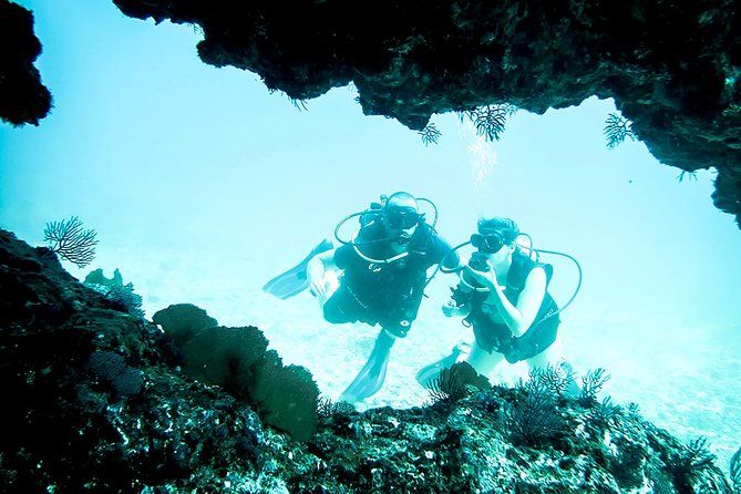 Scuba Diving Marietas Islands