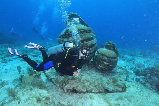2 Tanks Dives Cancun Underwater Museum for Certified Divers