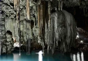 Private Cenote & Cave – Playa del Carmen, Mayan Culture & Fossils