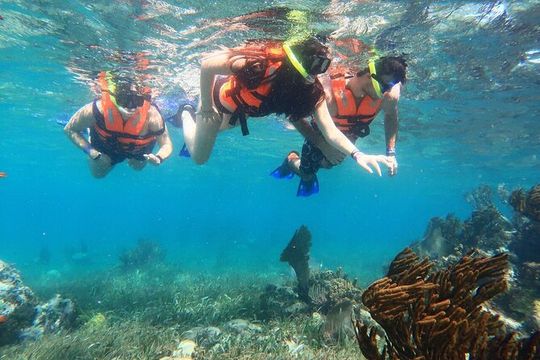 ATV Adventure Combo with Snorkeling, Ziplines, Cenote, and Lunch