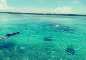 Blue hole, drift snorkeling, turtles Celebration Key is welcome