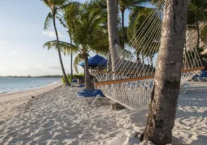 Tour of Coral Vita and breach brak at Banana bay beach club