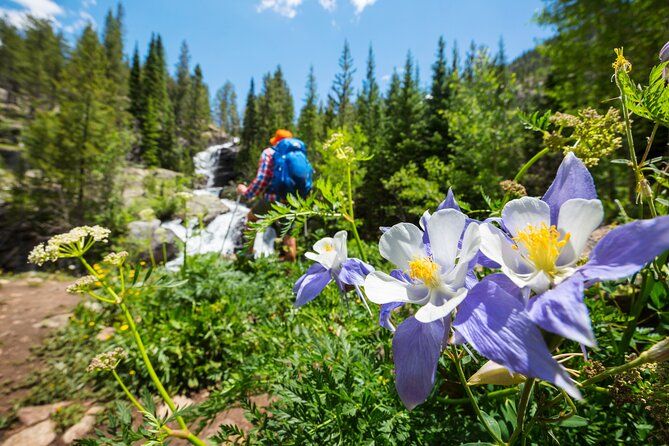 Guided Scenic Mountain Hiking near Breckenridge - Half Day