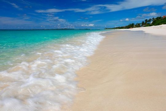 Nassau Shore Excursion: Sightseeing and Snorkeling Tour