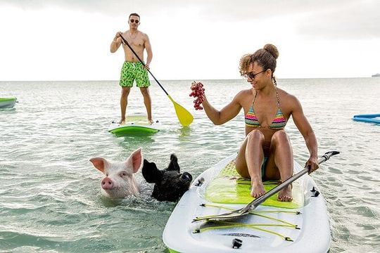 Swimming Pigs & ATV Tour