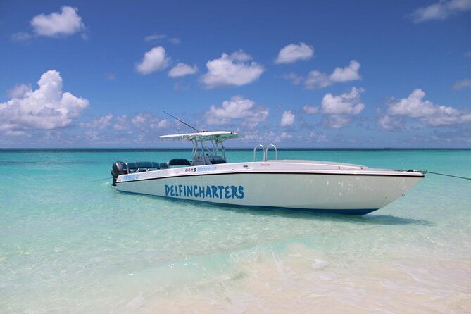 Private Boat Swim and Snorkel Adventure to Rose Island